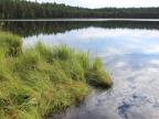 Потрясающая природа  озера «Хотомля» Круглянского района Могилевской области